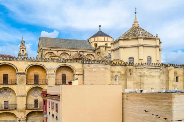 Utsikt Över Katedralen Cordoba Andalusien Södra Spanien — Stockfoto