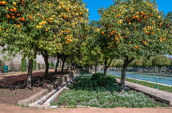 View Beautiful Gardens Alcazar Los Reyes Cristianos Cordoba Andalusia Southern Royalty Free Stock Images