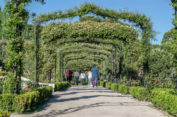Madrid España Mayo 2019 Personas Que Visitan Jardín Rosas Durante — Foto de Stock