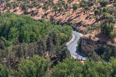 Ormanda dolambaçlı bir yol manzarası