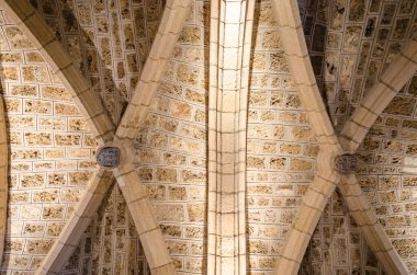 LEON, SPAIN - 8 Mart 2014: Leon, Kastilya ve Leon, İspanya 'daki antik Roma Bazilikası