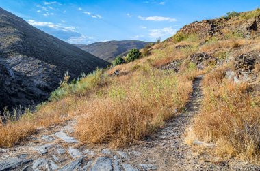 İspanya 'nın Madrid Topluluğu' nda yer alan Patones de Arriba köyü yakınlarındaki çorak arazi.