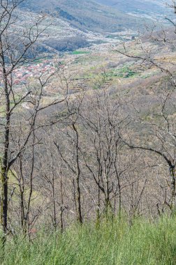 Extremadura, İspanya 'daki Tornavacas bakış açısından Jerte Vadisi' ne bakış