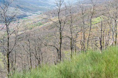 Extremadura, İspanya 'daki Tornavacas bakış açısından Jerte Vadisi' ne bakış