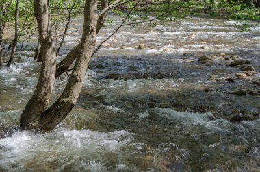 Baharda manzara, Jerte Nehri manzarası, Extremadura, İspanya