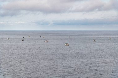 FOZ, İspanya - 31 Ağustos 2022: Foz, Galiçya, İspanya kıyılarında balıkçı tekneleri