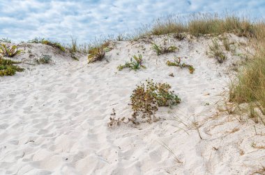 İspanya 'nın kuzeybatısında, Galiçya' nın Lugo eyaletinin Foz kasabasındaki Cantabrian Denizi kıyılarında kum tepeleri bulunan manzara.