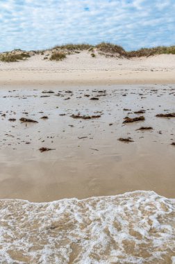 İspanya 'nın kuzeybatısında, Galiçya' nın Lugo eyaletinin Foz kasabasındaki Cantabrian Denizi kıyılarında kum tepeleri bulunan manzara.