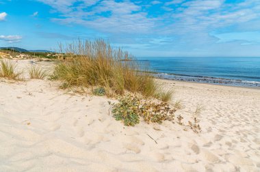 İspanya 'nın kuzeybatısındaki Lugo ilinin Foz kasabasındaki Cantabrian Denizi kıyılarındaki tipik kum örtüsü.