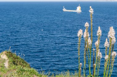 Santander 'in yeşil, kayalık kıyıları, Cantabria, Kuzey İspanya, arka planda tekneler