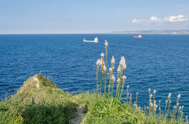 Santander 'in yeşil, kayalık kıyıları, Cantabria, Kuzey İspanya, arka planda tekneler