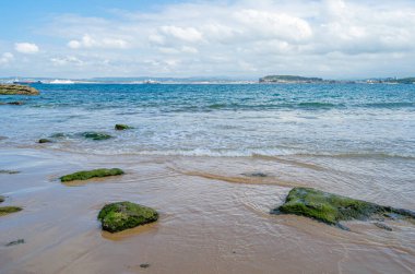 Santander 'in yeşil, kayalık kıyıları, Cantabria, Kuzey İspanya