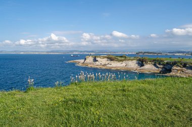 Santander 'in yeşil, kayalık kıyıları, Cantabria, Kuzey İspanya