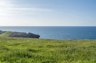 Santander 'in yeşil, kayalık kıyıları, Cantabria, Kuzey İspanya