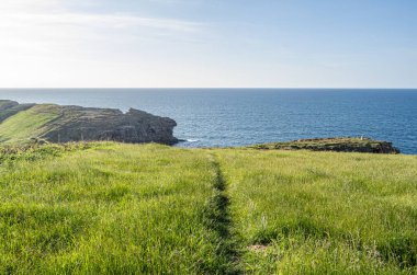 Santander 'in yeşil, kayalık kıyıları, Cantabria, Kuzey İspanya