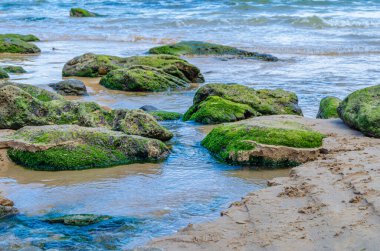 Cantabrian Denizi kıyısında yosunlu taşlar, doğal arka plan.