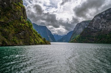 Aurlandsfjord manzarası, Norveç 'in Vestland ilçesinde bir fiyort.