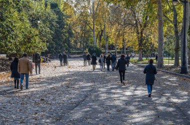 MADRID, İspanya - 23 Kasım 2019: Güneşli bir sonbahar gününde İspanya 'nın Madrid kentindeki Retiro Park' ta yürüyen insanlar
