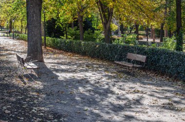 Sonbaharda parktaki ahşap bank.