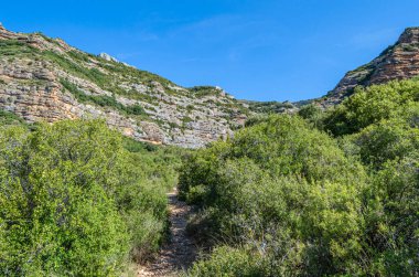 Guara Doğal Parkı 'nın Sierra ve Kanyonlarında, Huesca ili, Aragon, İspanya' nın kuzeydoğusundaki merkez Pireneler 'in eteklerinde kayalık bir arazi.