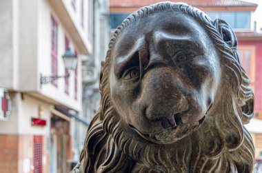 Leon (Aslan) olarak bilinen şehir heykeli, İspanya 'nın Oviedo, Asturias kentindeki Plaza de la Constitucion' da bulunmaktadır. Taştan yapılmış heykel, Antonio Fernandez 'in 1804' te yaptığı bir heykel.