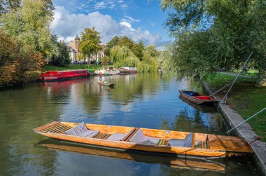 CAMBRIDGE, İngiltere - 11 Ekim 2014: Cambridge, İngiltere 'deki River Cam' de Pting. Tekne, küçük nehirlerde ve sığ sularda kullanılmak üzere tasarlanmış kare kesimli yayı olan düz tabanlı bir teknedir. Bahisçi vuruşu nehir yatağına doğru itiyor.