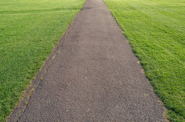 View of a footpath in a green park