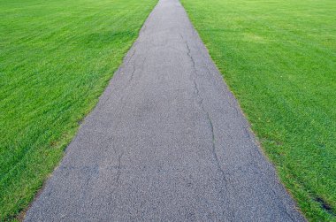 View of a footpath in a green park
