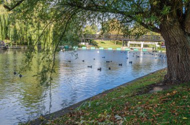Cambridge, Birleşik Krallık 'taki Cam Nehri kıyısında şehir manzarası
