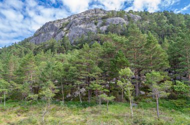 Norveç 'in Rogaland ilçesinde turistik bir yer olan Preikestolen (Kürsü Kayası) yolunda Lysefjorden' dan 604 metre yükseğe yükselen dik bir uçurum vardır.