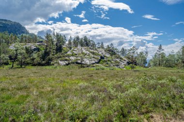 Norveç 'in Rogaland ilçesinde turistik bir yer olan Preikestolen (Kürsü Kayası) yolunda Lysefjorden' dan 604 metre yükseğe yükselen dik bir uçurum vardır.