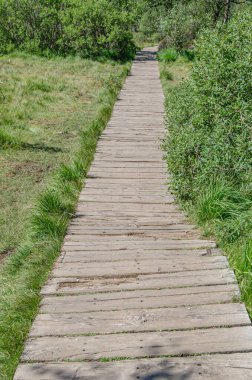 Norveç 'in Rogaland ilçesinde turistik bir yer olan Preikestolen (The Pulpit Rock)' a doğru uzanan yol, Lysefjorden 'in 604 metre yukarısında dik bir uçurum.