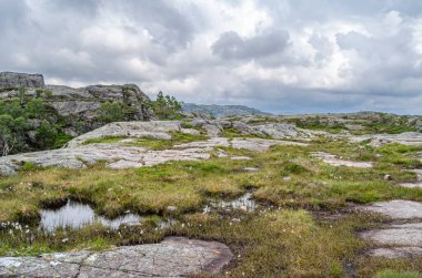 Norveç 'in Rogaland ilçesinde turistik bir yer olan Preikestolen (Kürsü Kayası) rotasındaki kaya oluşumları Lysefjorden' ın 604 metre yukarısında dik bir uçurum.