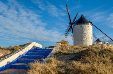 Toledo 'nun Consuegra köyündeki tipik yel değirmenleri, Castilla La Mancha, İspanya