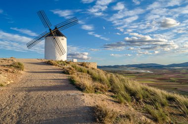 Toledo 'nun Consuegra köyündeki tipik yel değirmenleri, Castilla La Mancha, İspanya