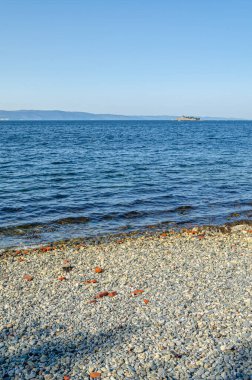 Norveç, Trondheim Fjord limanından Munkholmen adası manzarası