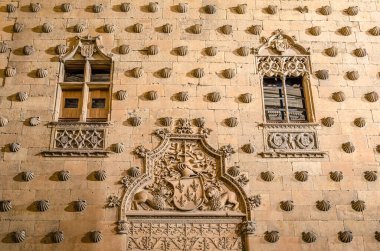 Gece görüşü mimari detayı. İspanya 'nın Salamanca kentindeki Casa de las Conchas cephesi, 300' den fazla bombayla dekore edilmiş geç dönem Gotik ve Plateresk tarzını karıştıran bir bina.