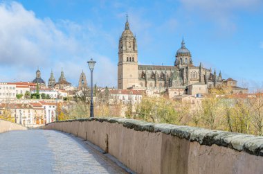 Salamanca Katedrali, İspanya, Roma Köprüsü 'nden (Puente Belediye Başkanı del Tormes))