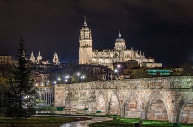 Roma Köprüsü 'nden Salamanca Katedrali' nin gece manzarası (Puente Belediye Başkanı del Tormes))