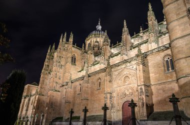 Salamanca, Kastilya ve Leon Katedrali 'nin gece manzarası, İspanya