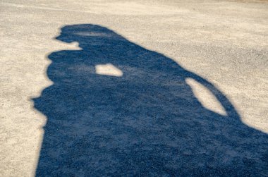 Aslan heykelinin gölgesi kumlu kaldırımda