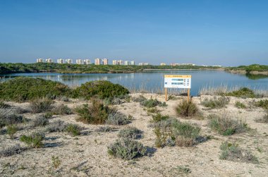 VALENCIA, İspanya - 29 Aralık 2019: Pujol Pond (Estany del Pujol), Albufera Doğal Parkı, Valencia, İspanya