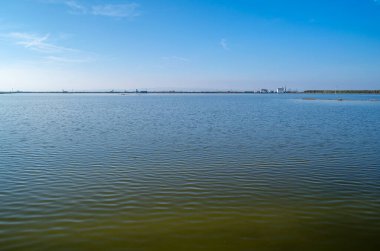 Albufera Doğal Parkı 'ndaki manzara, Valencia, İspanya