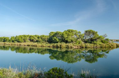 Pujol Gölü (Estany del Pujol), İspanya 'nın Valencia eyaletindeki Albufera Doğal Parkı' nda bulunan yapay gölet.