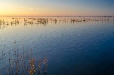 Albufera Doğal Parkı 'nda güzel bir gün batımı Valencia, İspanya