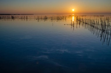 Albufera Doğal Parkı 'nda güzel bir gün batımı Valencia, İspanya