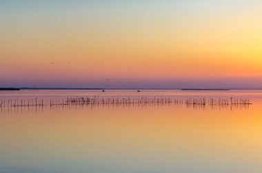 Albufera Doğal Parkı 'nda güzel bir gün batımı Valencia, İspanya