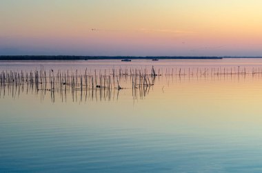 Albufera Doğal Parkı 'nda güzel bir gün batımı Valencia, İspanya
