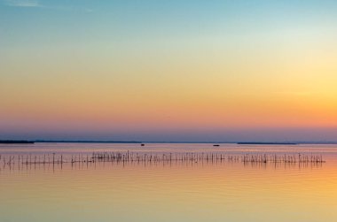 Albufera Doğal Parkı 'nda güzel bir gün batımı Valencia, İspanya