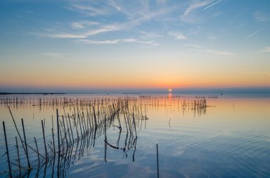 Albufera Doğal Parkı 'nda güzel bir gün batımı Valencia, İspanya